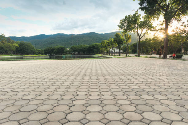 Best Decorative Driveway Pavers  in Purdy, WA